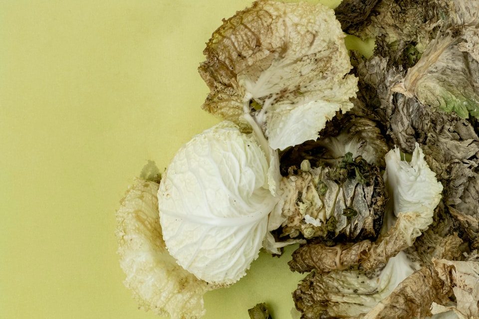 recetas con restos de comida zero waste